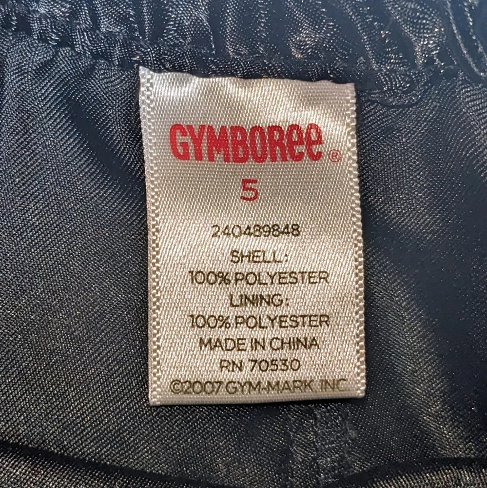 Gymboree Black Tulle Skirt